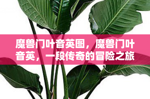 魔兽门叶音英图，魔兽门叶音英，一段传奇的冒险之旅