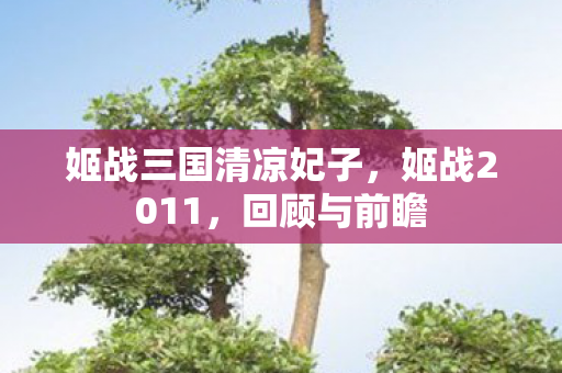 姬战三国清凉妃子，姬战2011，回顾与前瞻