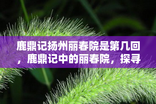 鹿鼎记扬州丽春院是第几回，鹿鼎记中的丽春院，探寻扬州的踪迹