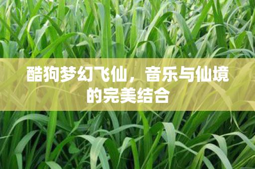 酷狗梦幻飞仙，音乐与仙境的完美结合