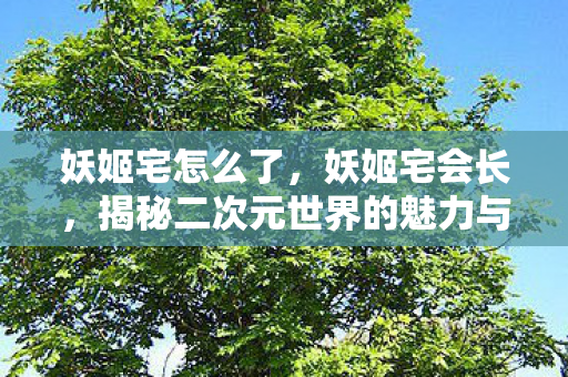 妖姬宅怎么了，妖姬宅会长，揭秘二次元世界的魅力与背后的故事