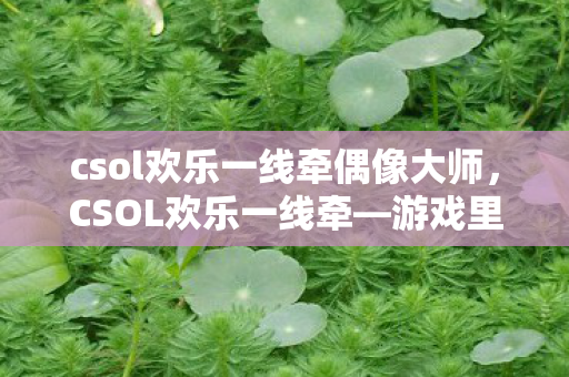 csol欢乐一线牵偶像大师，CSOL欢乐一线牵—游戏里的激情与友情
