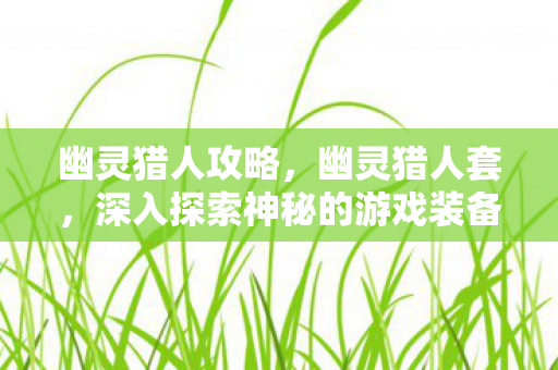 幽灵猎人攻略，幽灵猎人套，深入探索神秘的游戏装备