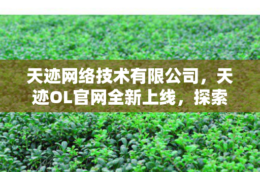 天迹网络技术有限公司，天迹OL官网全新上线，探索奇幻世界的门户已开启！