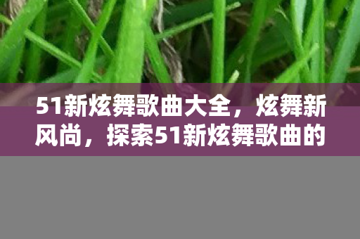 51新炫舞歌曲大全，炫舞新风尚，探索51新炫舞歌曲的魅力