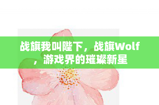 战旗我叫陛下，战旗Wolf，游戏界的璀璨新星