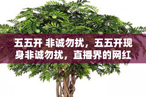 五五开 非诚勿扰，五五开现身非诚勿扰，直播界的网红与相亲节目的碰撞