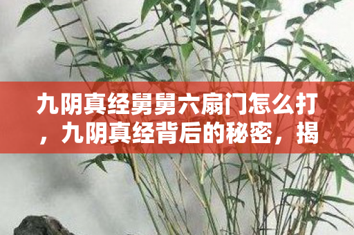 九阴真经舅舅六扇门怎么打，九阴真经背后的秘密，揭秘舅舅六扇门的故事