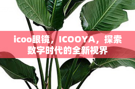icoo眼镜，ICOOYA，探索数字时代的全新视界