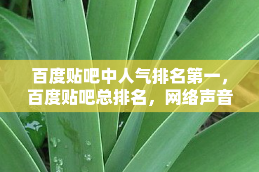 百度贴吧中人气排名第一，百度贴吧总排名，网络声音的力量与影响力