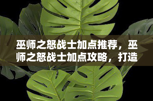 巫师之怒战士加点推荐，巫师之怒战士加点攻略，打造无敌战斗机器