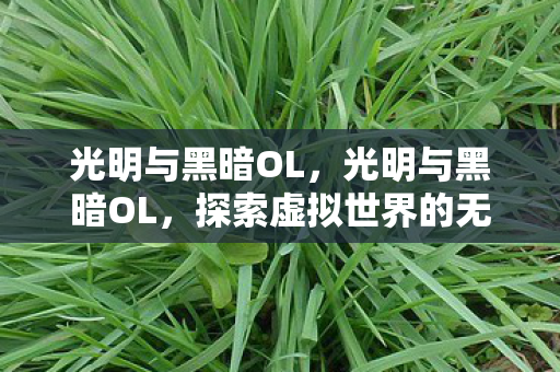 光明与黑暗OL，光明与黑暗OL，探索虚拟世界的无尽奥秘