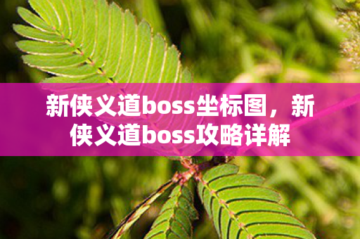 新侠义道boss坐标图，新侠义道boss攻略详解