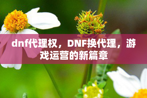 dnf代理权，DNF换代理，游戏运营的新篇章