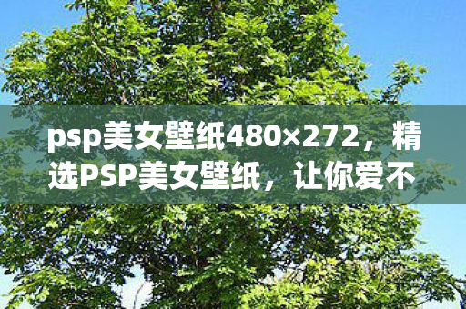 psp美女壁纸480×272，精选PSP美女壁纸，让你爱不释手