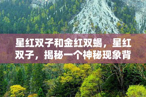 星红双子和金红双蝎，星红双子，揭秘一个神秘现象背后的真相
