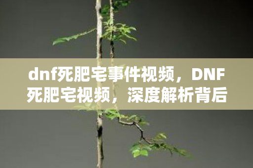 dnf死肥宅事件视频，DNF死肥宅视频，深度解析背后的文化现象