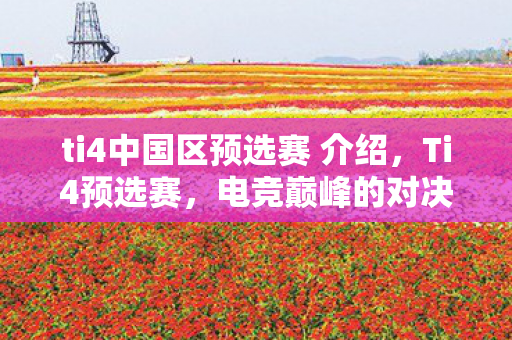 ti4中国区预选赛 介绍，Ti4预选赛，电竞巅峰的对决
