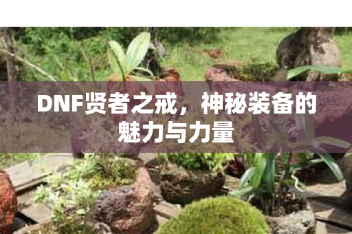 DNF贤者之戒，神秘装备的魅力与力量