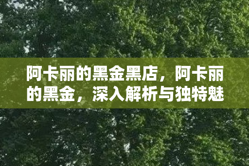 阿卡丽的黑金黑店，阿卡丽的黑金，深入解析与独特魅力
