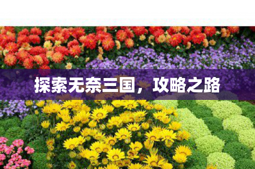 探索无奈三国，攻略之路