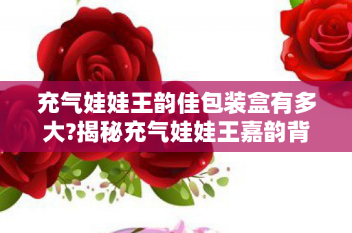 充气娃娃王韵佳包装盒有多大?揭秘充气娃娃王嘉韵背后的故事