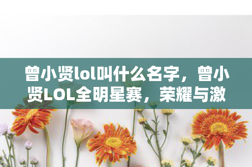 曾小贤lol叫什么名字，曾小贤LOL全明星赛，荣耀与激情的碰撞