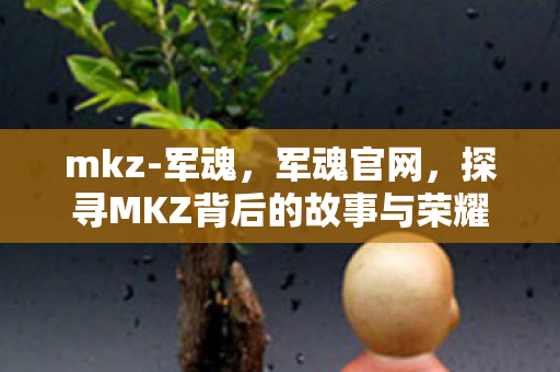 mkz-军魂，军魂官网，探寻MKZ背后的故事与荣耀