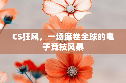 CS狂风，一场席卷全球的电子竞技风暴