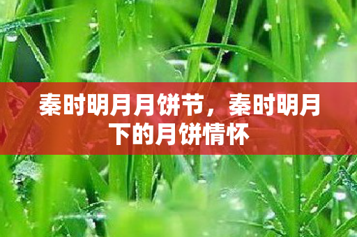 秦时明月月饼节，秦时明月下的月饼情怀