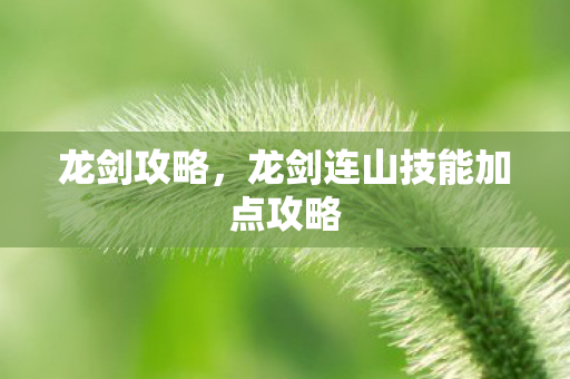 龙剑攻略，龙剑连山技能加点攻略