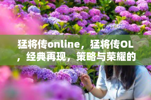 猛将传online，猛将传OL，经典再现，策略与荣耀的战场