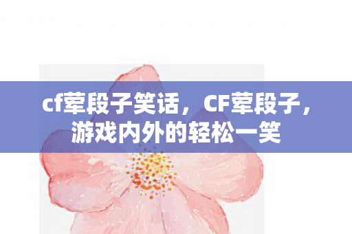 cf荤段子笑话，CF荤段子，游戏内外的轻松一笑