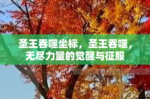 圣王吞噬坐标，圣王吞噬，无尽力量的觉醒与征服