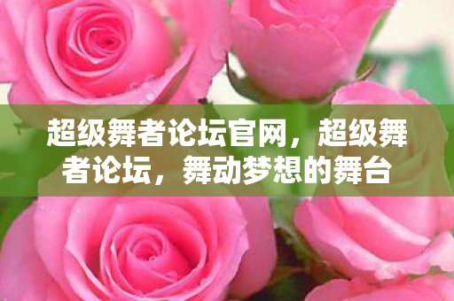 超级舞者论坛官网，超级舞者论坛，舞动梦想的舞台