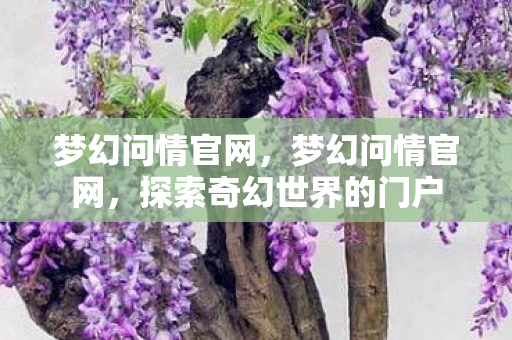 梦幻问情官网，梦幻问情官网，探索奇幻世界的门户