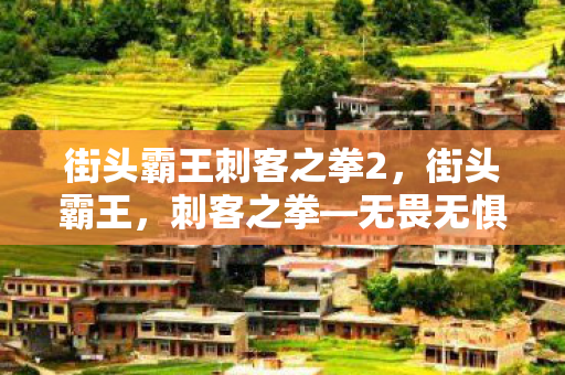 街头霸王刺客之拳2，街头霸王，刺客之拳—无畏无惧，拳拳到肉的街头刺客传奇