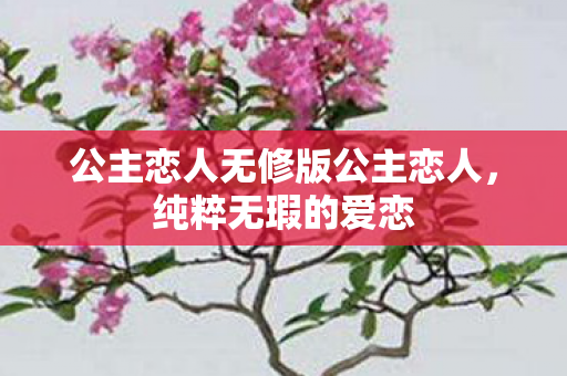 公主恋人无修版公主恋人，纯粹无瑕的爱恋