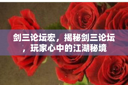 剑三论坛宏，揭秘剑三论坛，玩家心中的江湖秘境