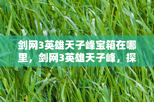 剑网3英雄天子峰宝箱在哪里，剑网3英雄天子峰，探寻江湖之巅的传奇故事