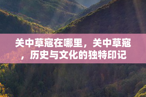 关中草寇在哪里，关中草寇，历史与文化的独特印记