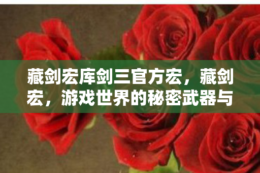 藏剑宏库剑三官方宏，藏剑宏，游戏世界的秘密武器与策略之道