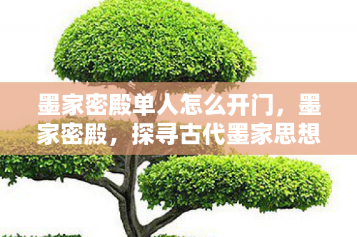 墨家密殿单人怎么开门，墨家密殿，探寻古代墨家思想的神秘殿堂