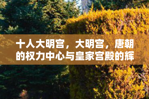 十人大明宫，大明宫，唐朝的权力中心与皇家宫殿的辉煌缩影