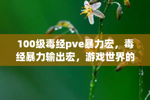 100级毒经pve暴力宏，毒经暴力输出宏，游戏世界的无尽威力