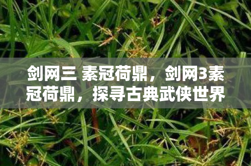 剑网三 素冠荷鼎，剑网3素冠荷鼎，探寻古典武侠世界的独特魅力