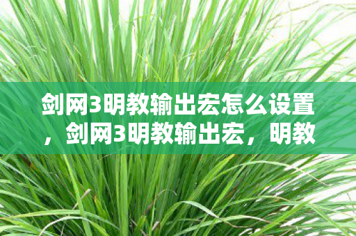 剑网3明教输出宏怎么设置，剑网3明教输出宏，明教门派的新篇章
