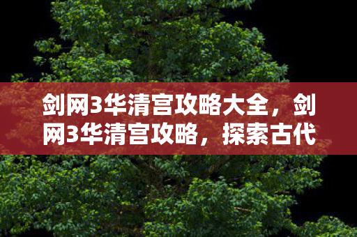 剑网3华清宫攻略大全，剑网3华清宫攻略，探索古代宫殿的秘密与挑战