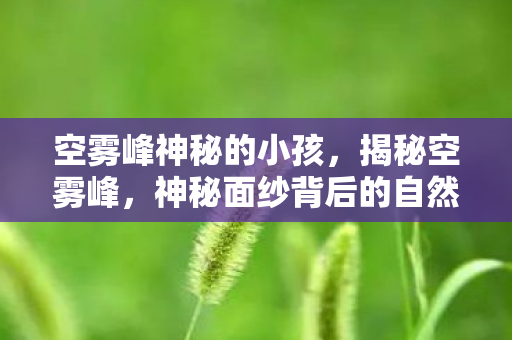 空雾峰神秘的小孩，揭秘空雾峰，神秘面纱背后的自然奇观与人文历史