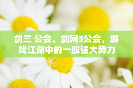 剑三 公会，剑网3公会，游戏江湖中的一股强大势力
